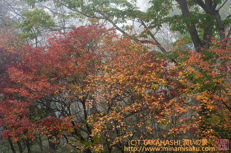 ../Images/7R251019 (300).jpg